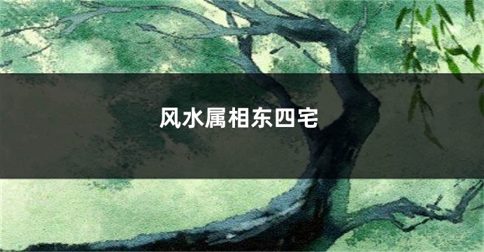 风水属相东四宅