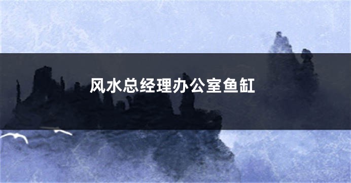 风水总经理办公室鱼缸