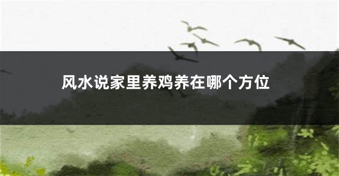 风水说家里养鸡养在哪个方位