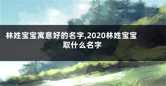 林姓宝宝寓意好的名字,2020林姓宝宝取什么名字