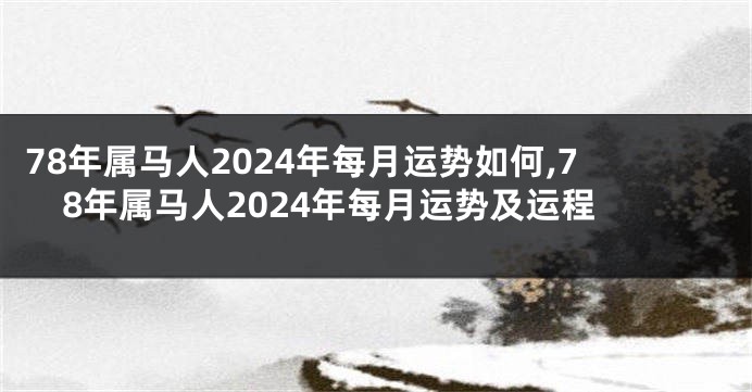 78年属马人2024年每月运势如何,78年属马人2024年每月运势及运程