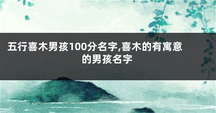 五行喜木男孩100分名字,喜木的有寓意的男孩名字