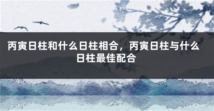 丙寅日柱和什么日柱相合，丙寅日柱与什么日柱最佳配合