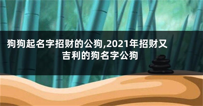 狗狗起名字招财的公狗,2021年招财又吉利的狗名字公狗