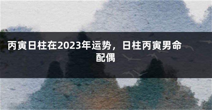 丙寅日柱在2023年运势，日柱丙寅男命配偶