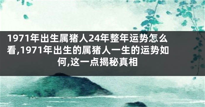 1971年出生属猪人24年整年运势怎么看,1971年出生的属猪人一生的运势如何,这一点揭秘真相