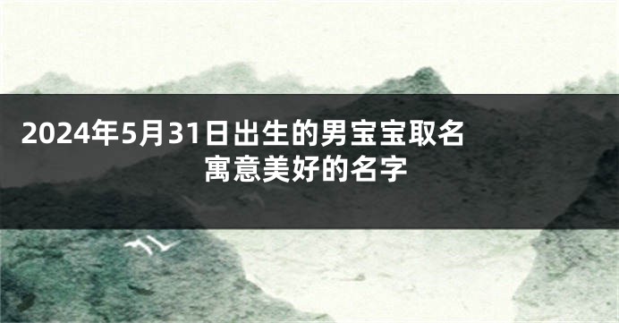 2024年5月31日出生的男宝宝取名 寓意美好的名字