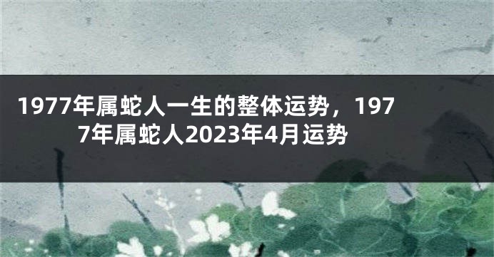 1977年属蛇人一生的整体运势，1977年属蛇人2023年4月运势