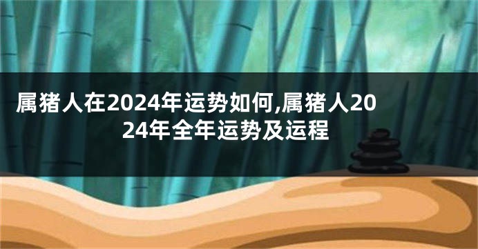 属猪人在2024年运势如何,属猪人2024年全年运势及运程