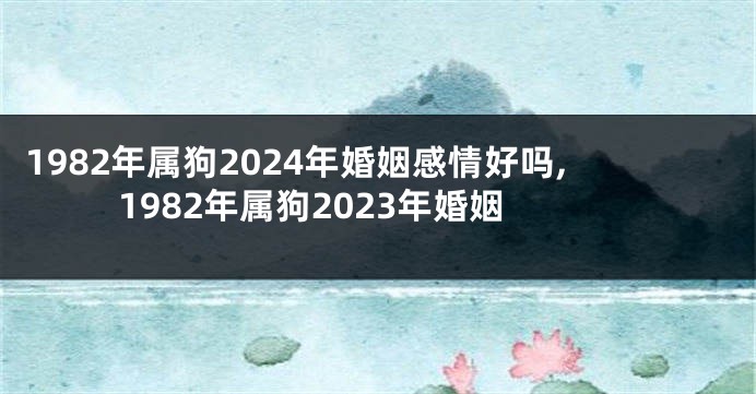 1982年属狗2024年婚姻感情好吗,1982年属狗2023年婚姻