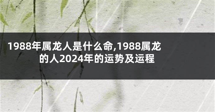 1988年属龙人是什么命,1988属龙的人2024年的运势及运程