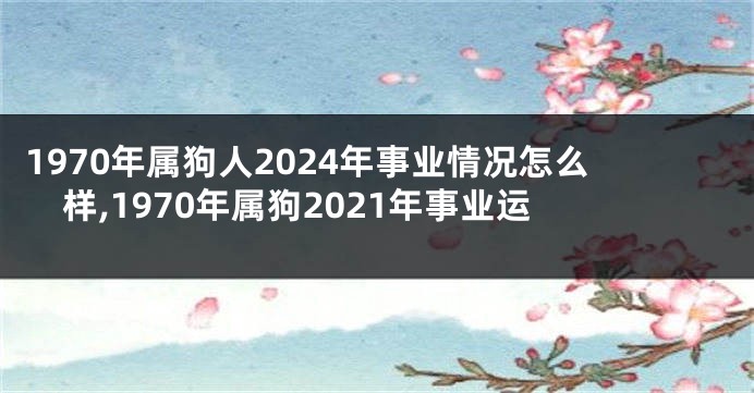 1970年属狗人2024年事业情况怎么样,1970年属狗2021年事业运