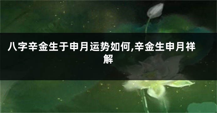 八字辛金生于申月运势如何,辛金生申月祥解