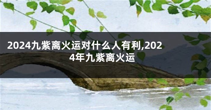 2024九紫离火运对什么人有利,2024年九紫离火运