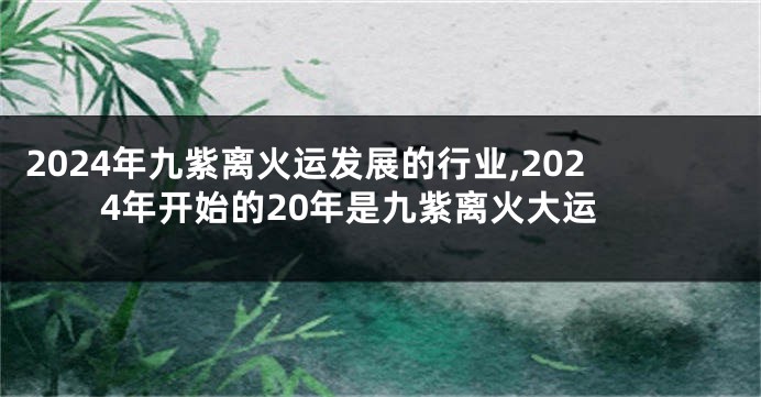 2024年九紫离火运发展的行业,2024年开始的20年是九紫离火大运