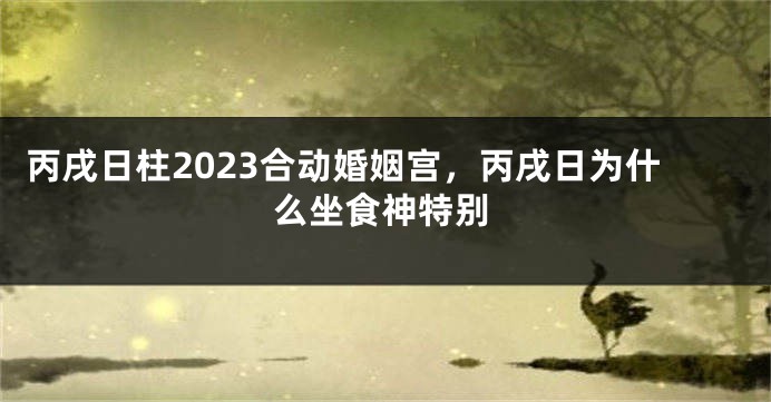 丙戌日柱2023合动婚姻宫，丙戌日为什么坐食神特别