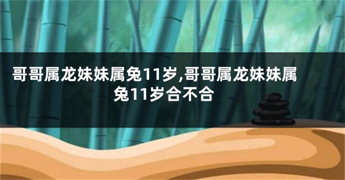 哥哥属龙妹妹属兔11岁,哥哥属龙妹妹属兔11岁合不合