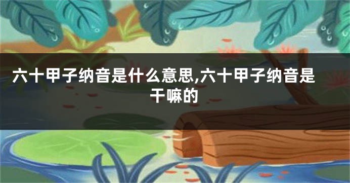 六十甲子纳音是什么意思,六十甲子纳音是干嘛的