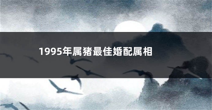 1995年属猪最佳婚配属相