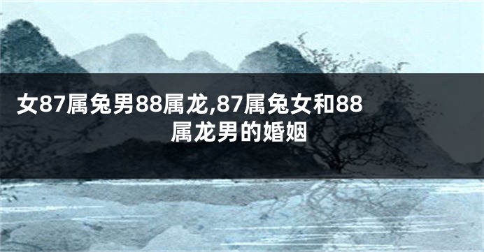 女87属兔男88属龙,87属兔女和88属龙男的婚姻