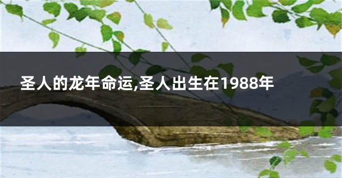 圣人的龙年命运,圣人出生在1988年