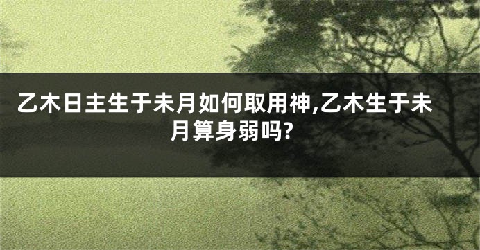 乙木日主生于未月如何取用神,乙木生于未月算身弱吗?