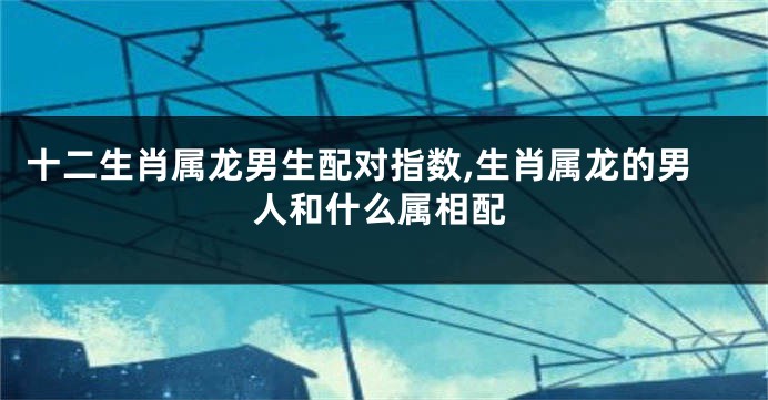 十二生肖属龙男生配对指数,生肖属龙的男人和什么属相配