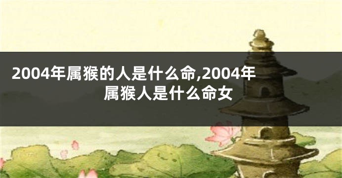 2004年属猴的人是什么命,2004年属猴人是什么命女