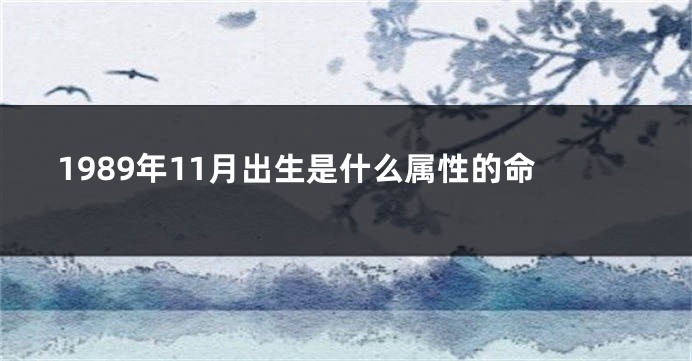 1989年11月出生是什么属性的命