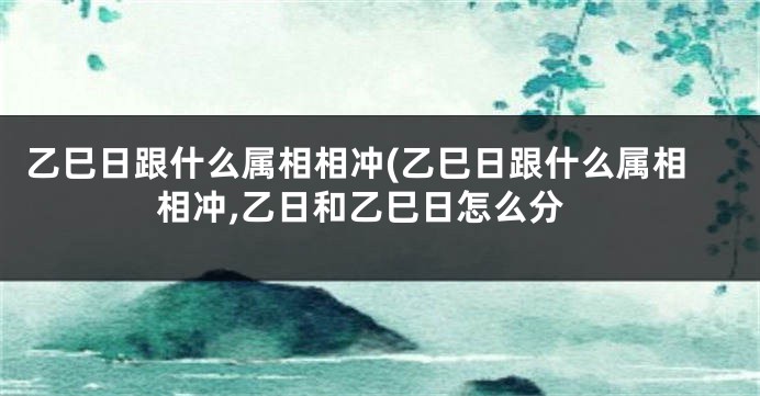 乙巳日跟什么属相相冲(乙巳日跟什么属相相冲,乙日和乙巳日怎么分