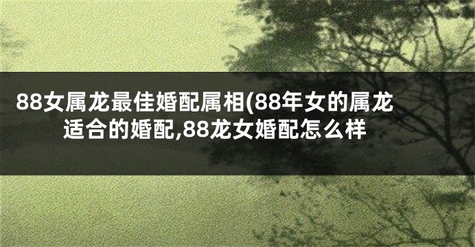 88女属龙最佳婚配属相(88年女的属龙适合的婚配,88龙女婚配怎么样