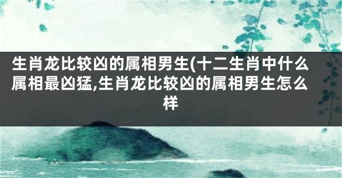 生肖龙比较凶的属相男生(十二生肖中什么属相最凶猛,生肖龙比较凶的属相男生怎么样