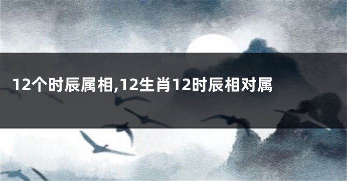 12个时辰属相,12生肖12时辰相对属