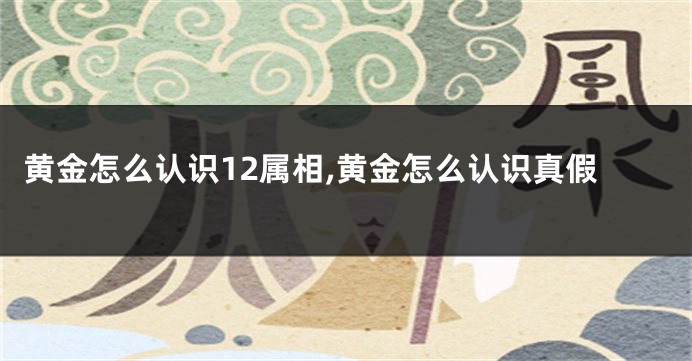 黄金怎么认识12属相,黄金怎么认识真假