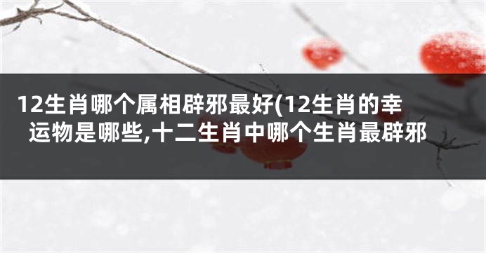 12生肖哪个属相辟邪最好(12生肖的幸运物是哪些,十二生肖中哪个生肖最辟邪