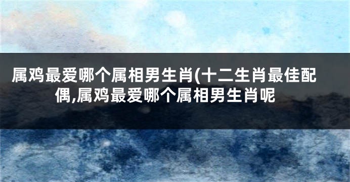 属鸡最爱哪个属相男生肖(十二生肖最佳配偶,属鸡最爱哪个属相男生肖呢