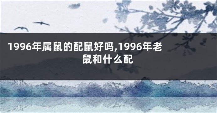 1996年属鼠的配鼠好吗,1996年老鼠和什么配