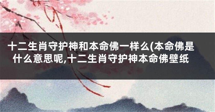 十二生肖守护神和本命佛一样么(本命佛是什么意思呢,十二生肖守护神本命佛壁纸