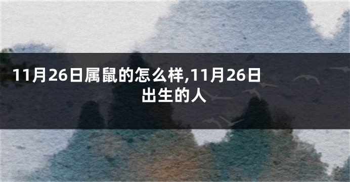 11月26日属鼠的怎么样,11月26日出生的人