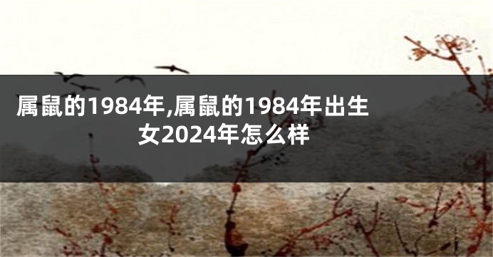 属鼠的1984年,属鼠的1984年出生女2024年怎么样