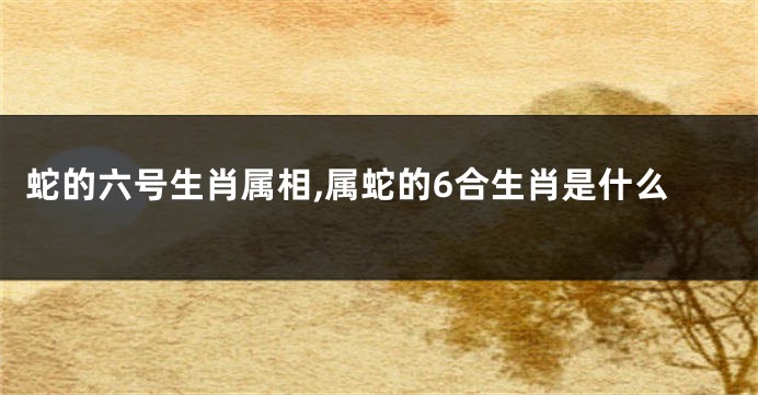 蛇的六号生肖属相,属蛇的6合生肖是什么