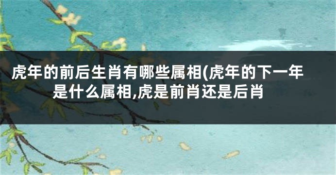 虎年的前后生肖有哪些属相(虎年的下一年是什么属相,虎是前肖还是后肖