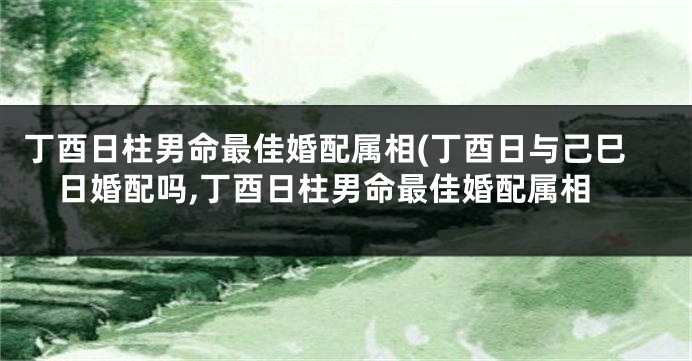 丁酉日柱男命最佳婚配属相(丁酉日与己巳日婚配吗,丁酉日柱男命最佳婚配属相