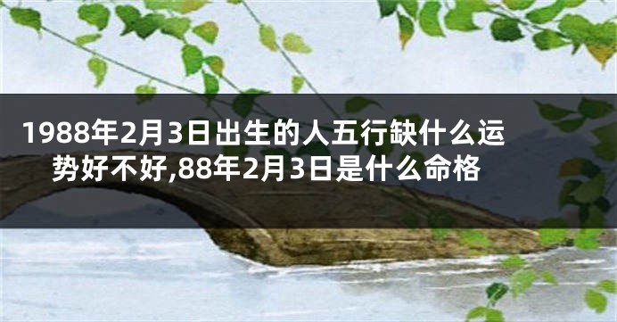 1988年2月3日出生的人五行缺什么运势好不好,88年2月3日是什么命格