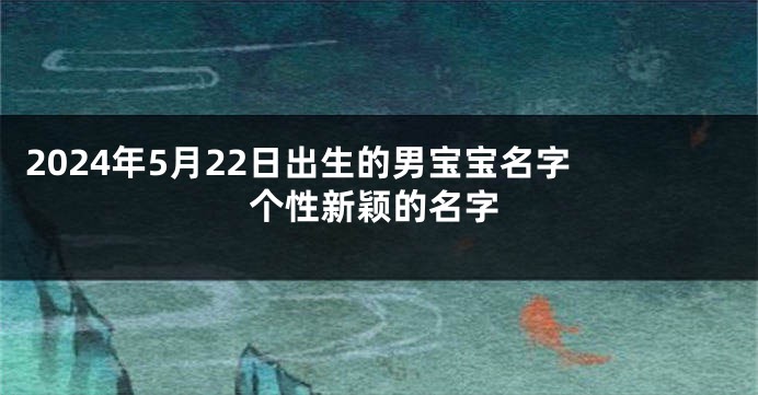 2024年5月22日出生的男宝宝名字 个性新颖的名字