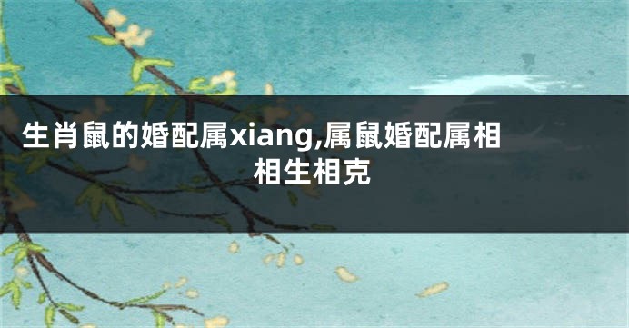 生肖鼠的婚配属xiang,属鼠婚配属相相生相克