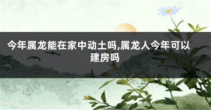 今年属龙能在家中动土吗,属龙人今年可以建房吗