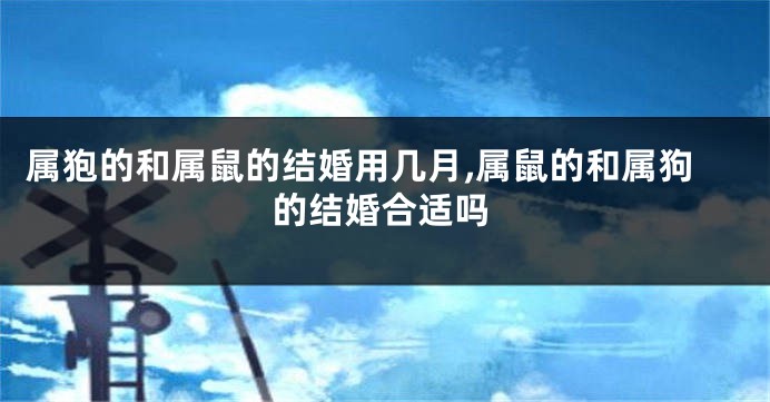 属狍的和属鼠的结婚用几月,属鼠的和属狗的结婚合适吗