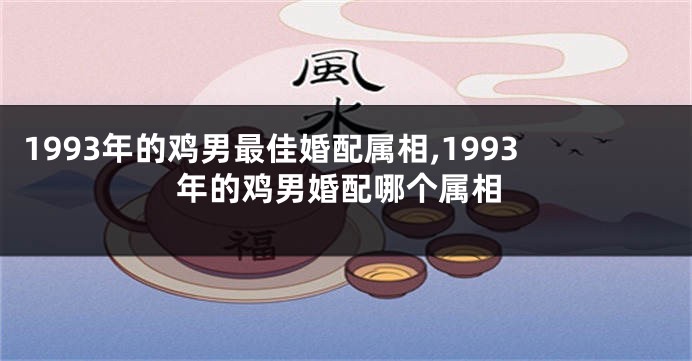 1993年的鸡男最佳婚配属相,1993年的鸡男婚配哪个属相