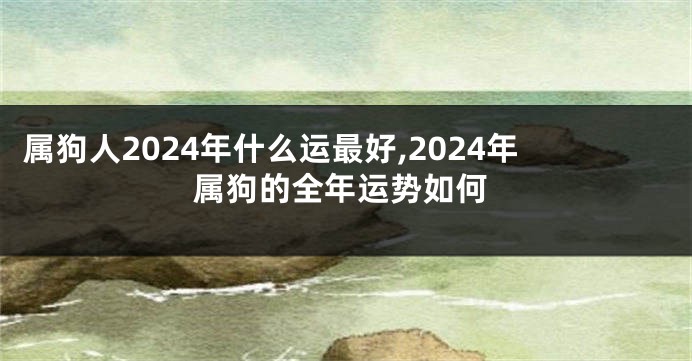 属狗人2024年什么运最好,2024年属狗的全年运势如何